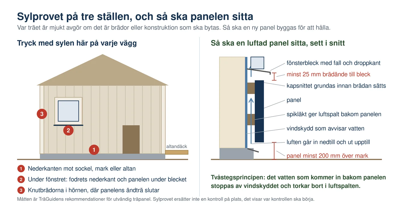 Illustration av en träfasad med tre markerade ställen för sylprovet, panelens nederkant, under fönstret och knutbrädan, och bredvid ett snitt genom en luftad panel med vindskydd, spikläkt, luftspalt, fönsterbleck, minst 25 mm mellan brädände och bleck och minst 200 mm mellan panel och mark
