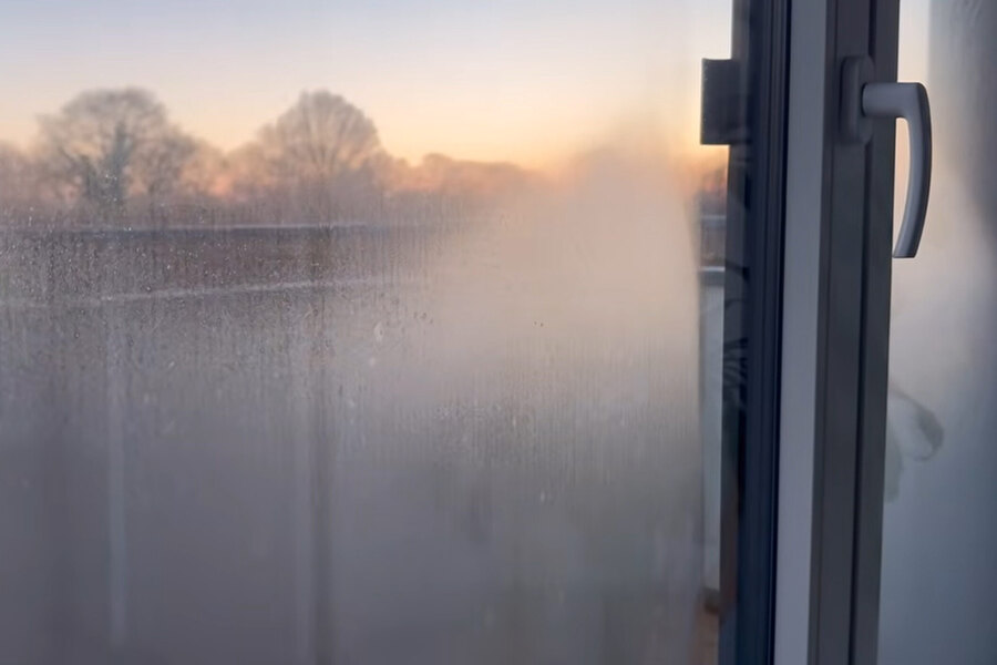 Imma på fönsterrutan en vintermorgon med soluppgång bakom träden i Jönköpings län